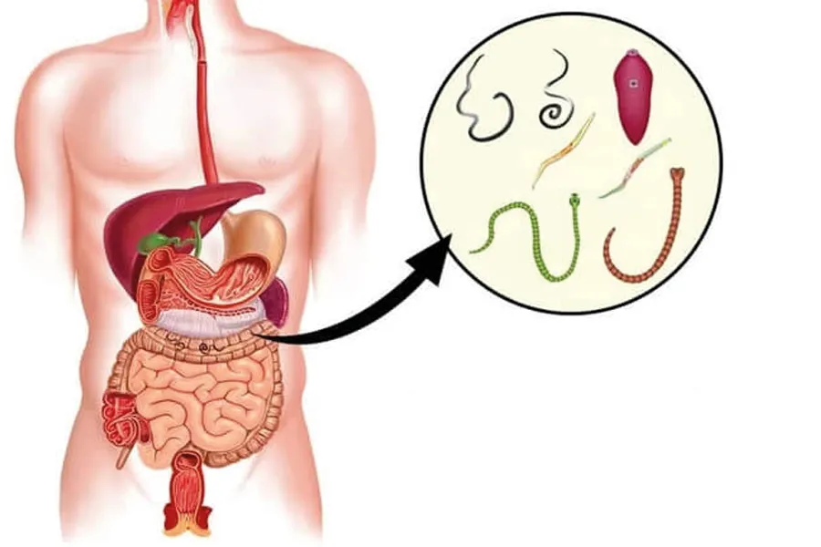 Vermixin : gdje kupiti u Hrvatskoj, u ljekarni?