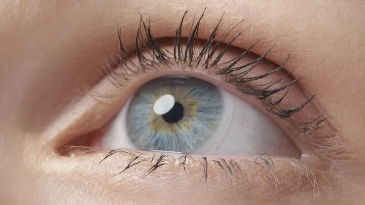 Visionmed